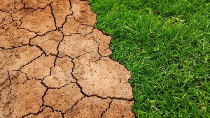 Cómo afecta al mundo el aumento de la degradación del suelo? | En  Profundidad | teleSUR