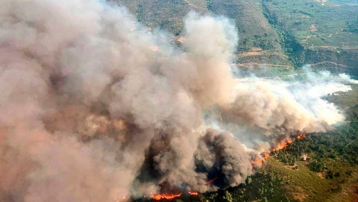 Hasta este momento, se reportan 74 hectáreas de superficie afectadas en el cerro del Tepozteco y una liquidación del fuego del diez por ciento..