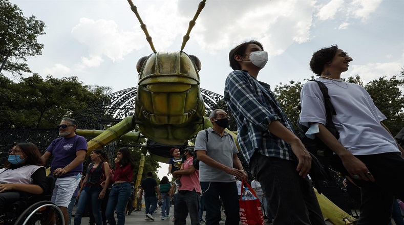 El Bosque de Chapultepec de la Ciudad de México es la sede de "Insecta Festival del Bosque", evento que insta a respetar la vida de los invertebrados.