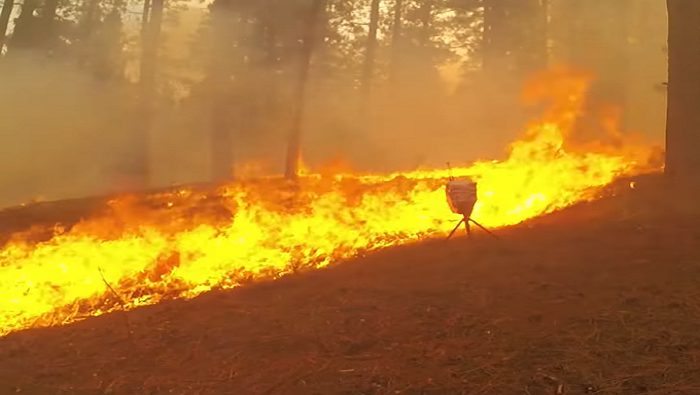 El McKinney es el mayor incendio forestal de California en lo que va de 2022.