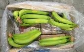 La droga estaba escondida en paquetes dentro de un cargamento de bananos, con destino al Reino Unido.  