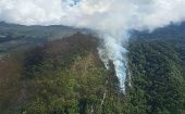 El incendio en Cerro Punta fue reportado por residentes de la zona el miércoles pasado; informaron por medio de redes sociales sobre la quema en esa área de bosque.
