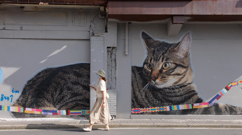  En esta ocasión el artista Tango cubrió una de las calles más antiguas con más de 30 imágenes de gatos domésticos, pertenecientes a familias locales.