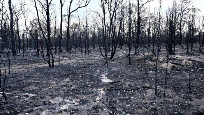 Australia ha presentado este año un adelanto de su época de incendios que normalmente comienza en noviembre.