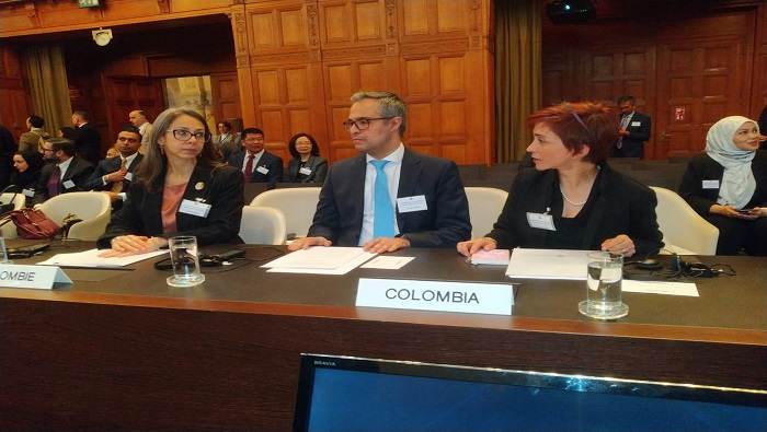 Colombia considera que la Asamblea General de la ONU y el Consejo de Seguridad, deben redoblar esfuerzos para encontrar medidas adicionales.