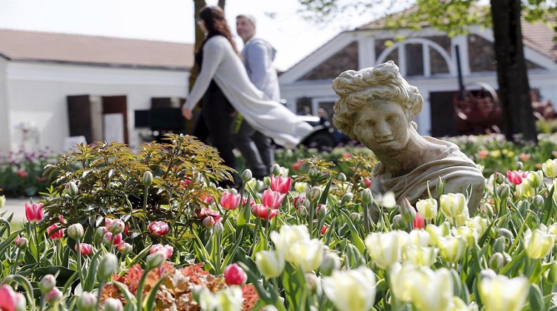 El Festival de Tulipanes y Flores de Primavera se celebra por estos días y durará hasta las primeras heladas de otoño. El territorio de Pakruojis Manor, al norte de Lituania acoge esta festividad