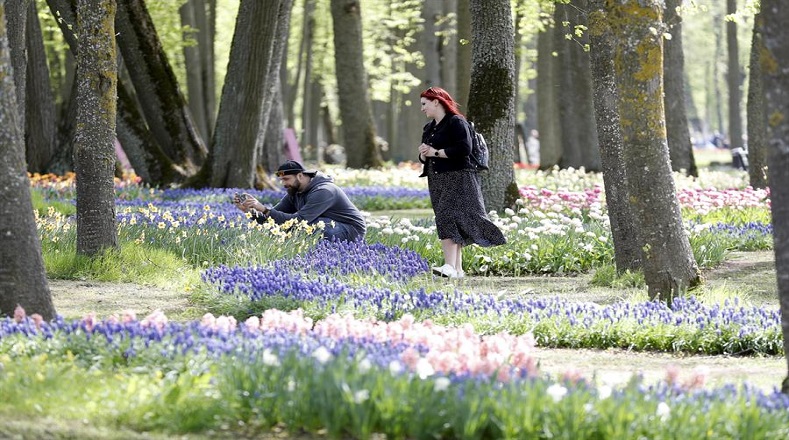 Lituania promociona el llamado “turismo floreal” que busca captar la atención de los que persiguen destinos de viaje más verdes y sostenibles. 
