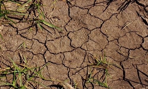 Cómo afecta al mundo el aumento de la degradación del suelo? | En  Profundidad | teleSUR