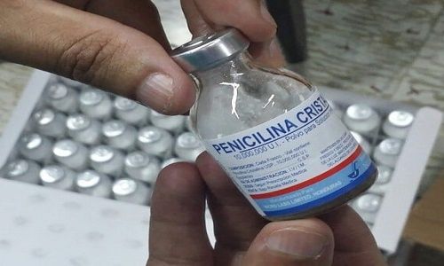 90 años de su hallazgo: ¿Qué es y para qué sirve la penicilina? | Noticias  | teleSUR